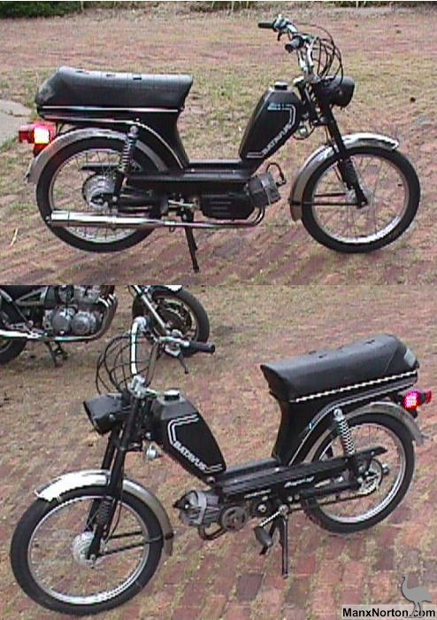 Batavus_Regency_VA_II.jpg