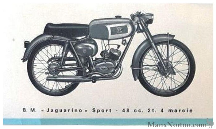 BM-1960-Jaguarino-Sport-Cat.jpg