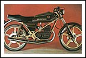 Bultaco-1974-Streaker-bk-gold.jpg