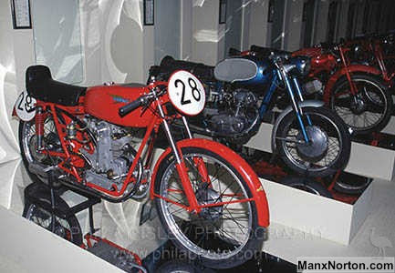 Cecatto_Photo_by_Phil_Aynsley.jpg