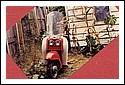DMW_Deemster_1963_99KW_front.jpg