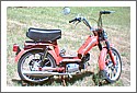 Motron Moped.jpg