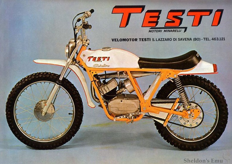 Testi-1970-Carabo-Cross-Cat.jpg