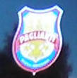 Paglianit logo