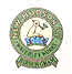 New Hudson Logo