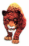 mc logo