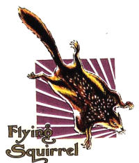 Scott logo