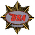 bsa-goldstar-2.jpg