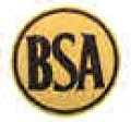 bsa-logo2.jpg