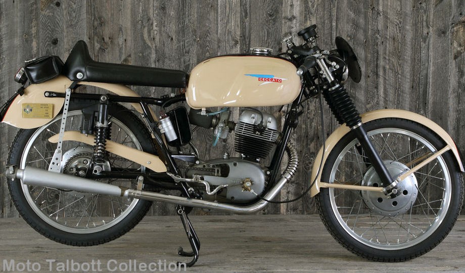Moto Talbott Collection