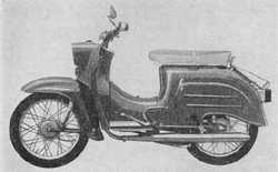 one of the first swallows