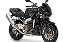 Aprilia-2009-Tuono-Cat-05.jpg