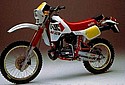 Aprilia-1985-250-RX.jpg