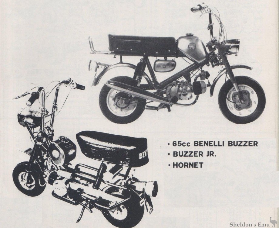 Benelli-1966c-65cc-Buzzer.jpg