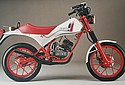 Beta-1983-Squirrel-50cc-02.jpg