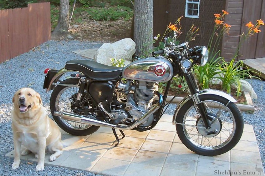 BSA-1956-B34GS-Bayliss.jpg