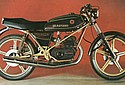 Bultaco-1974-Streaker-bk-gold.jpg