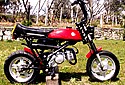 Puch-Mini-Motoesa-2.jpg