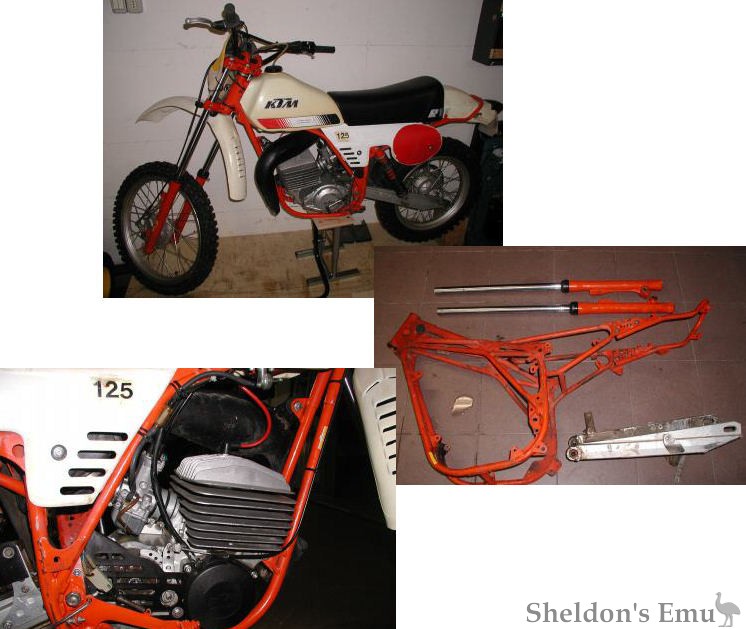 KTM-1981-125-RV.jpg