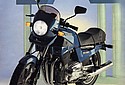 Laverda-1985-RGA-1000-Cat.jpg