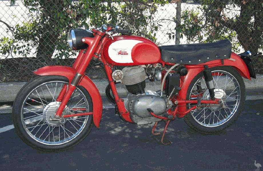 Moto-Morini-1956-175cc-Guzzino.jpg
