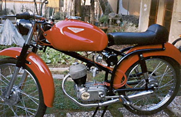 Nassetti-Sery-orange.jpg