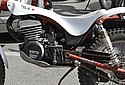 Maltry-Trans-AMA-JNP-1-Detail.jpg