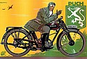 Puch-1924c-220-poster.jpg
