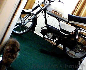 Sachs-1982-Eagle-Moped.jpg