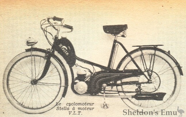 Stella-1951-VLT-Adv.jpg