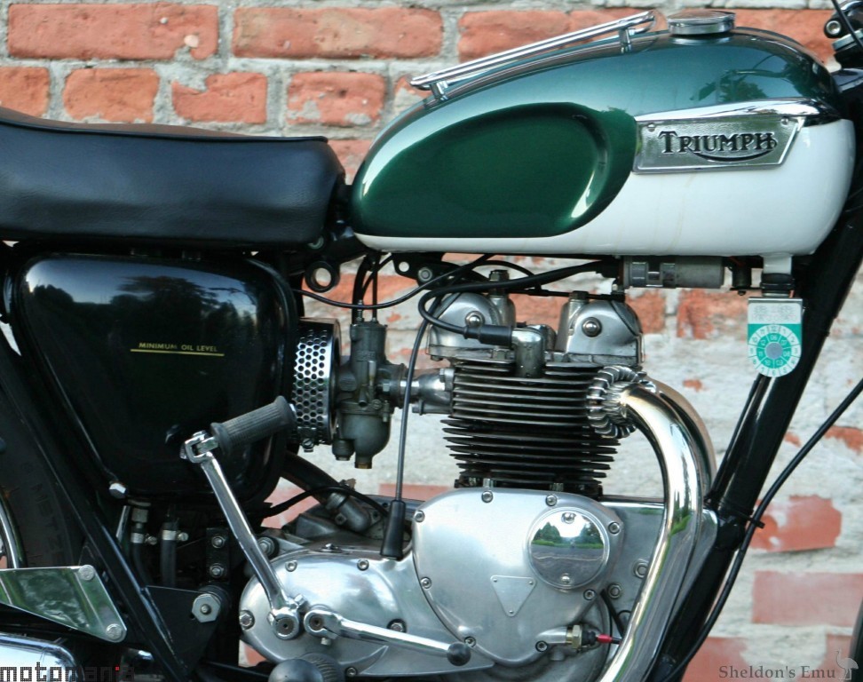 Triumph-1969-Tiger-T100-Moma-03.jpg