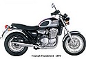 Triumph-1999-Thunderbird.jpg