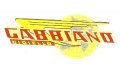 gabbiano-yellow-logo.jpg